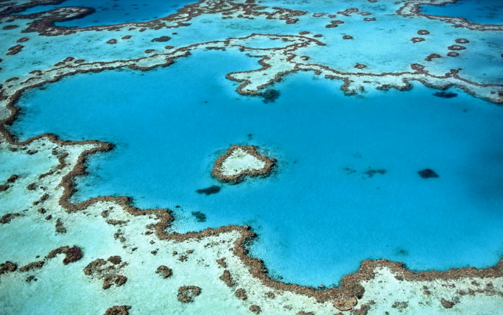 Aerial photo taken of a reef with clear blue waters