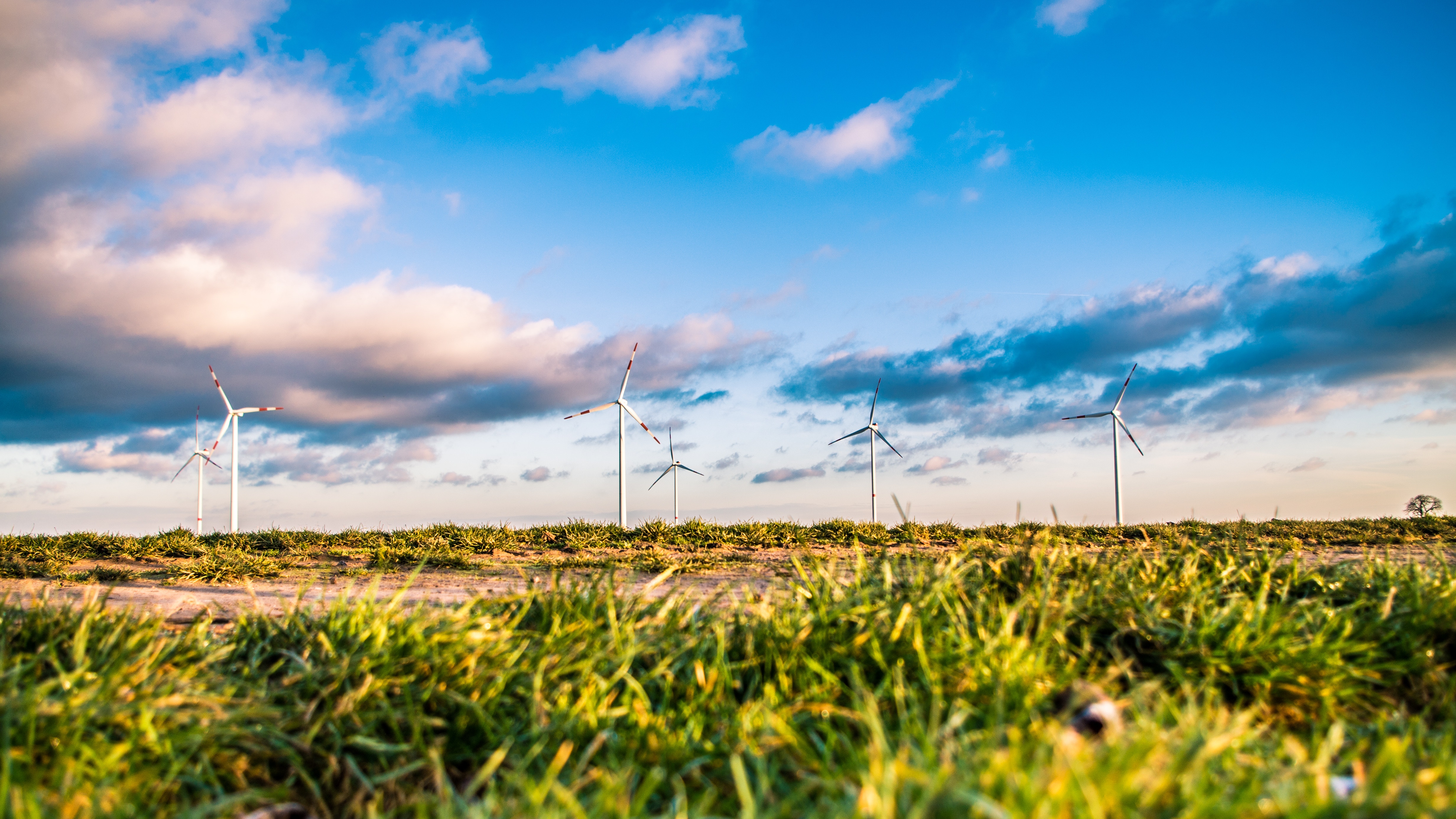 Photo of wind farm in a flat landscape