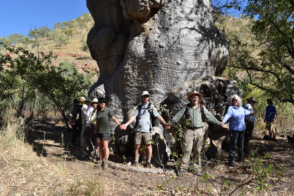 Photo of people holding hands around the base of a large tree