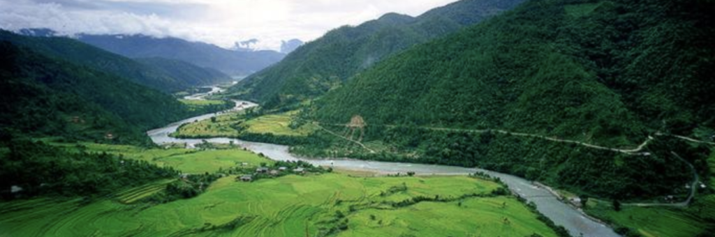 Photo of a river running through a dense green valley