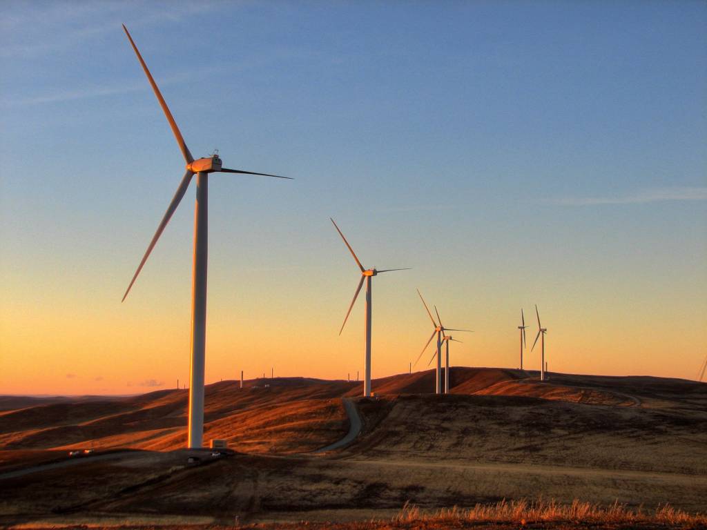 Photo of wind turbines at sunset in field