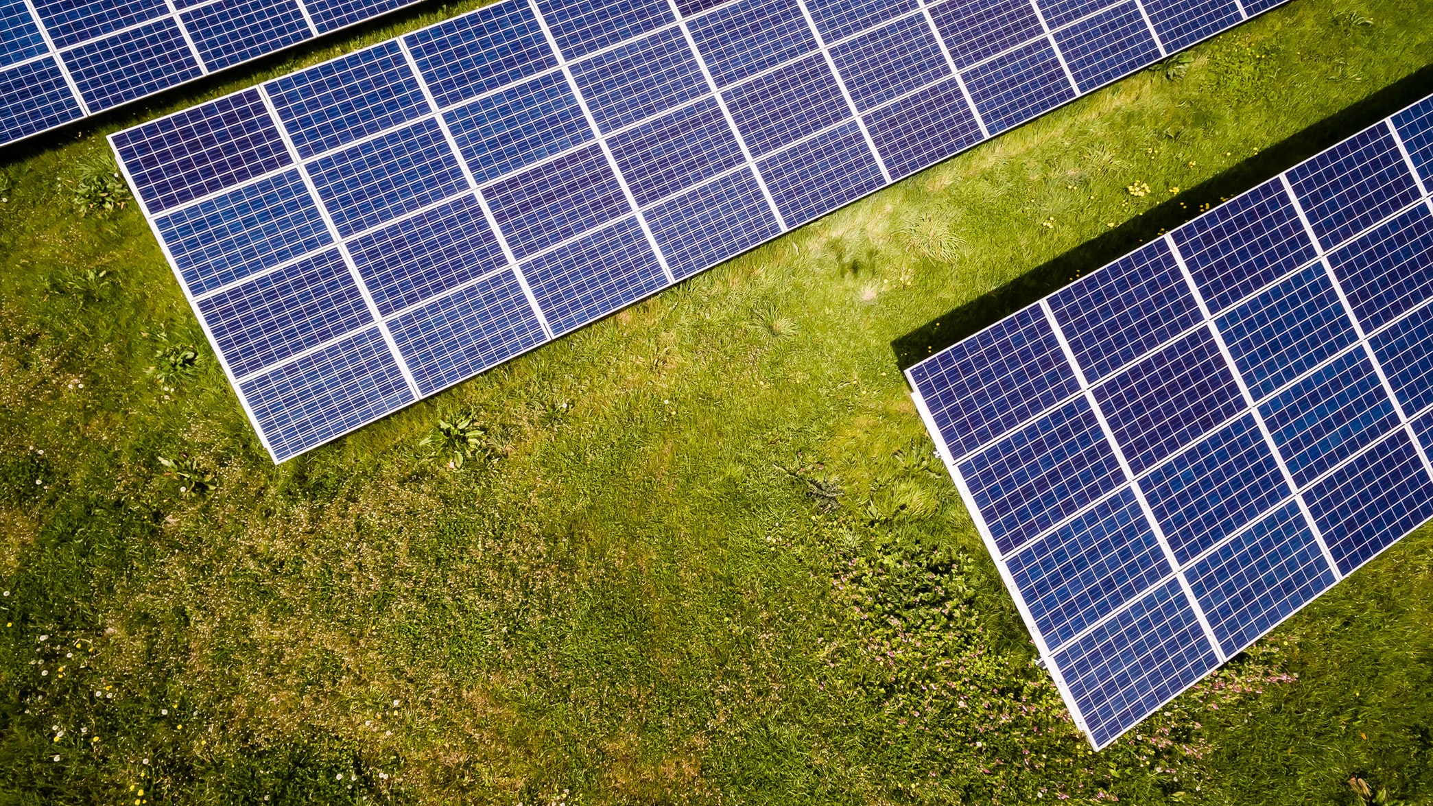 Photo of solar panels on grass in the sun