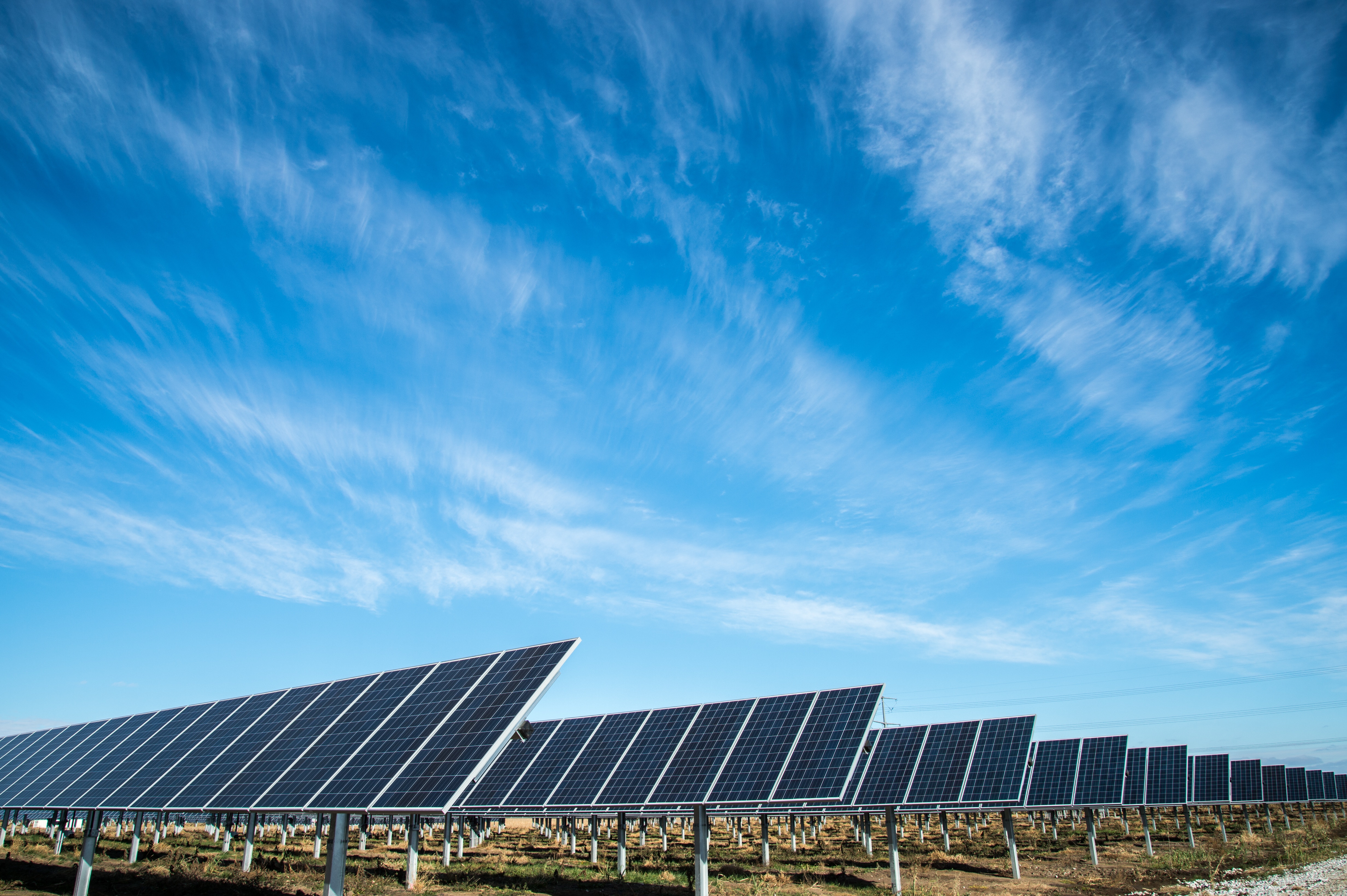 Photo of solar panels on a field