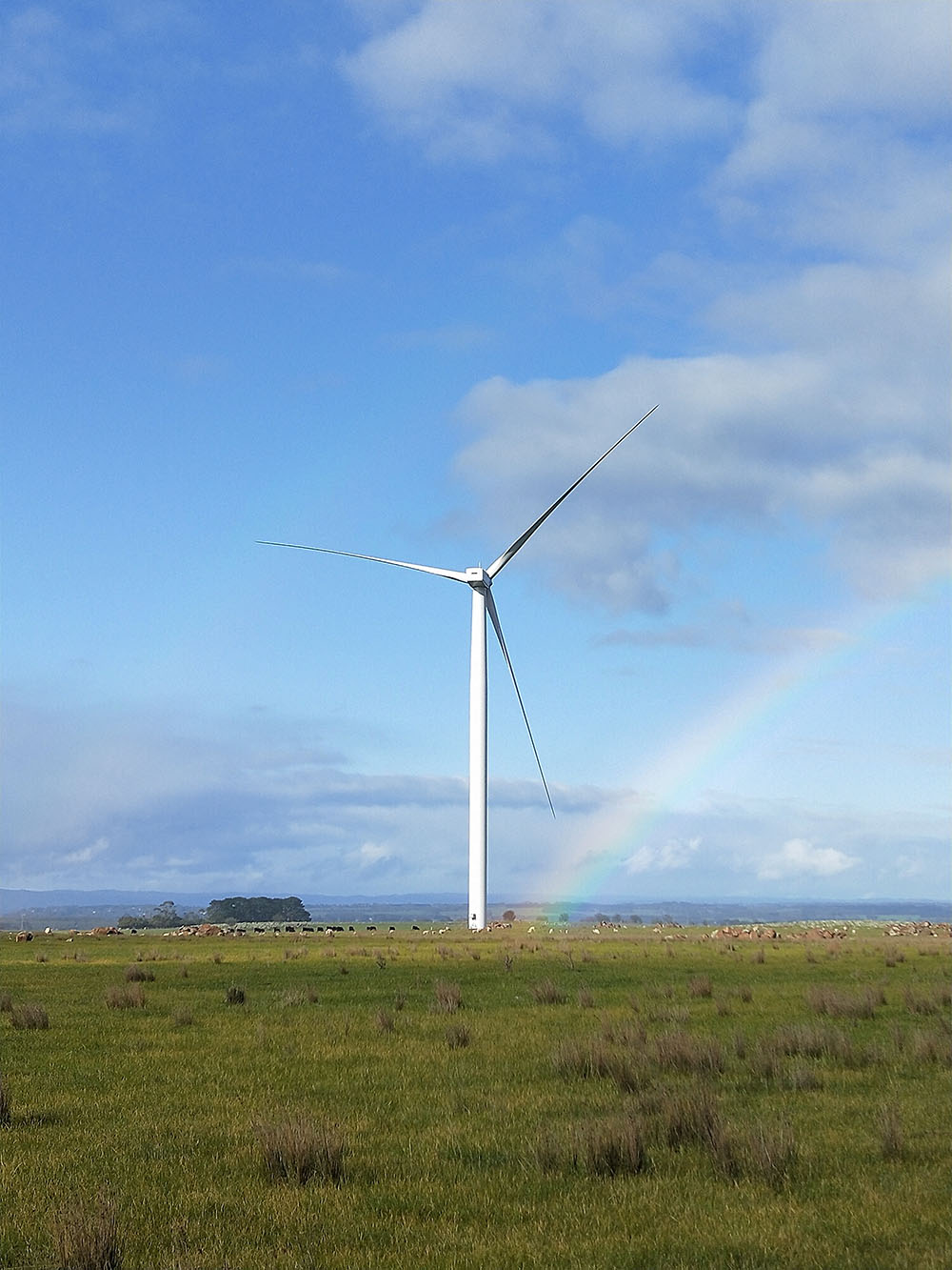 A photo of a wind turbine on a field with a rainbow