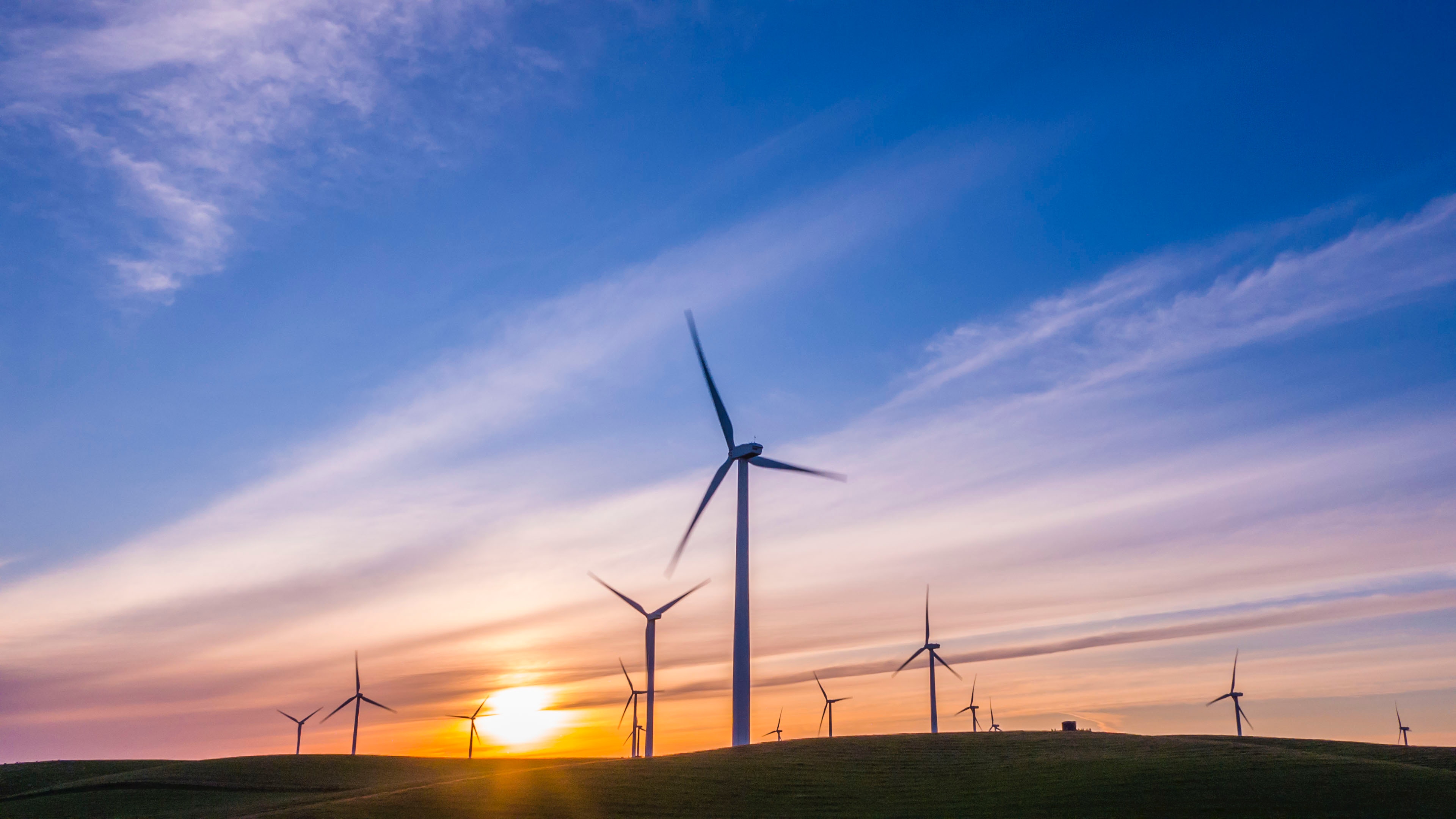 Wind turbines on a field during sunset photo