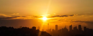 A photo of Sydney's skyline during sunset