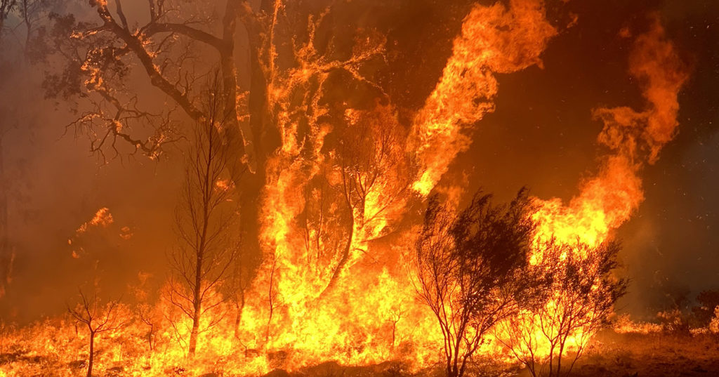 An image of bushfires