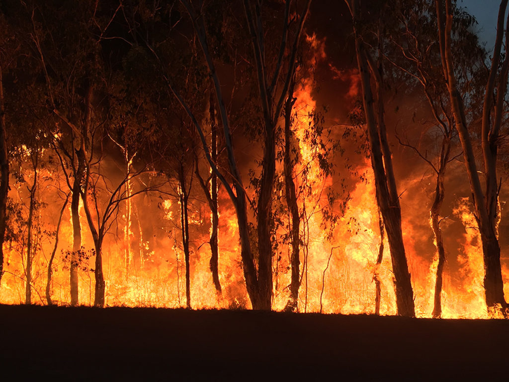 Image of a bushfire