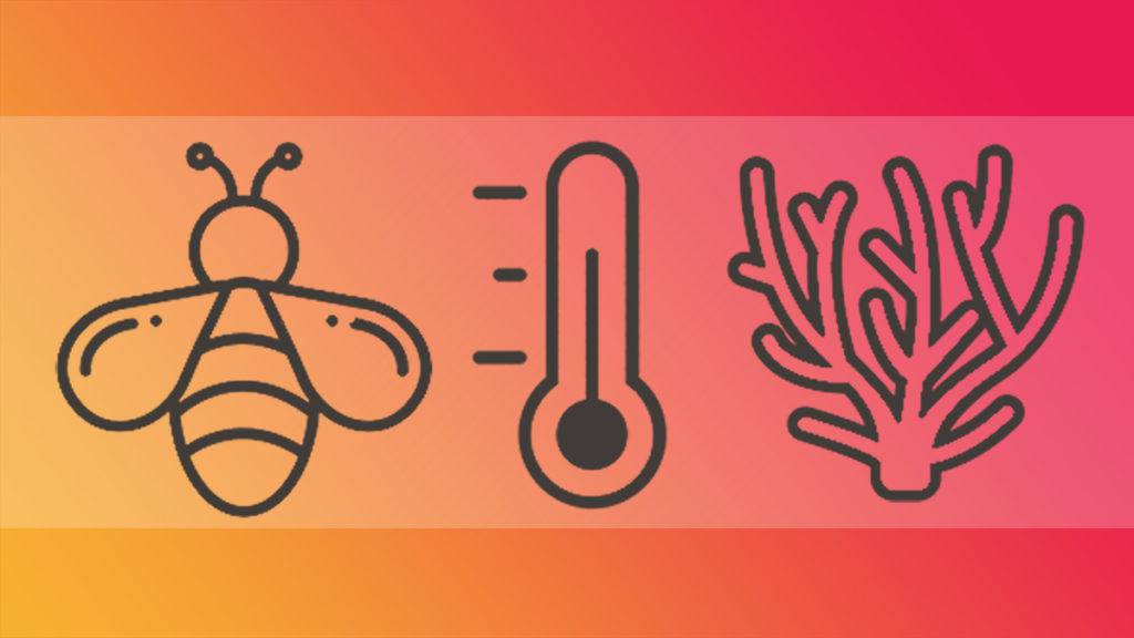 An image containing 3 icons - a bee, a thermometer and coral.