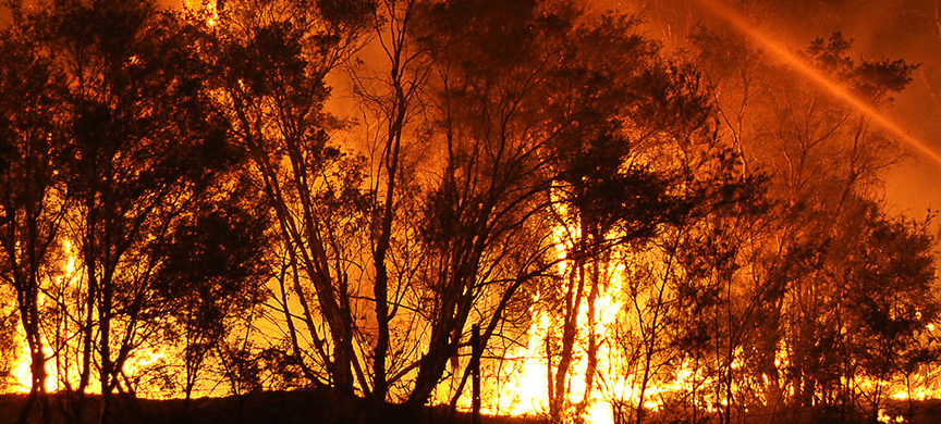 A bushfire burning extreme weather