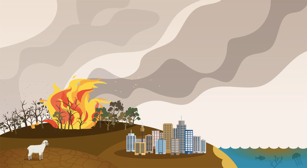 an image of a bushfire illustration.