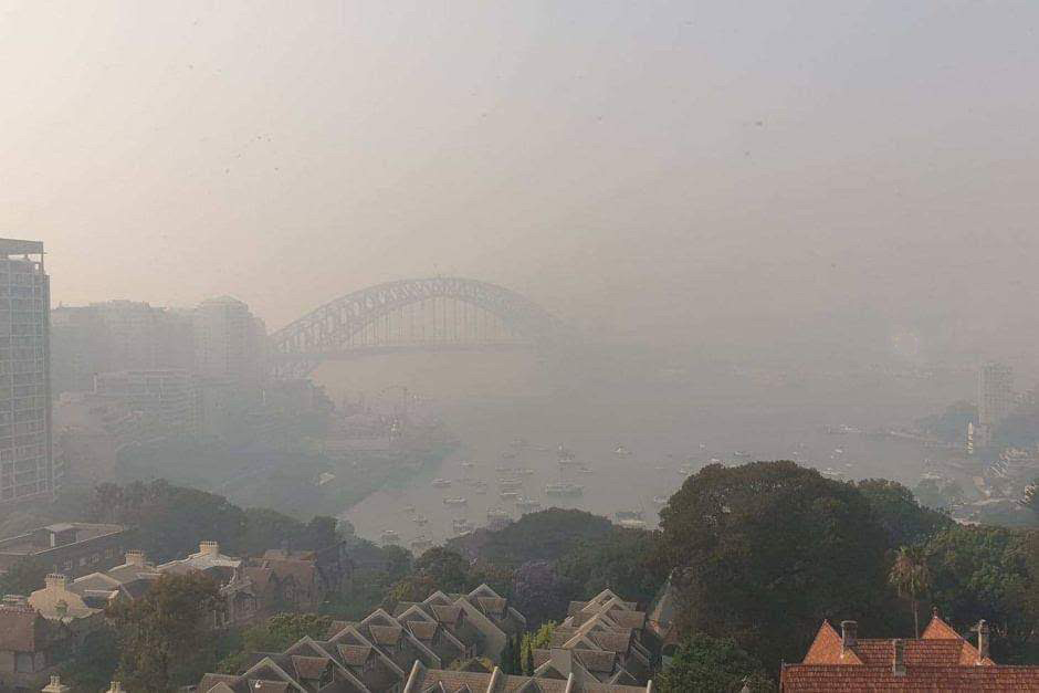 Photo of Sydney harbour covered in smoke