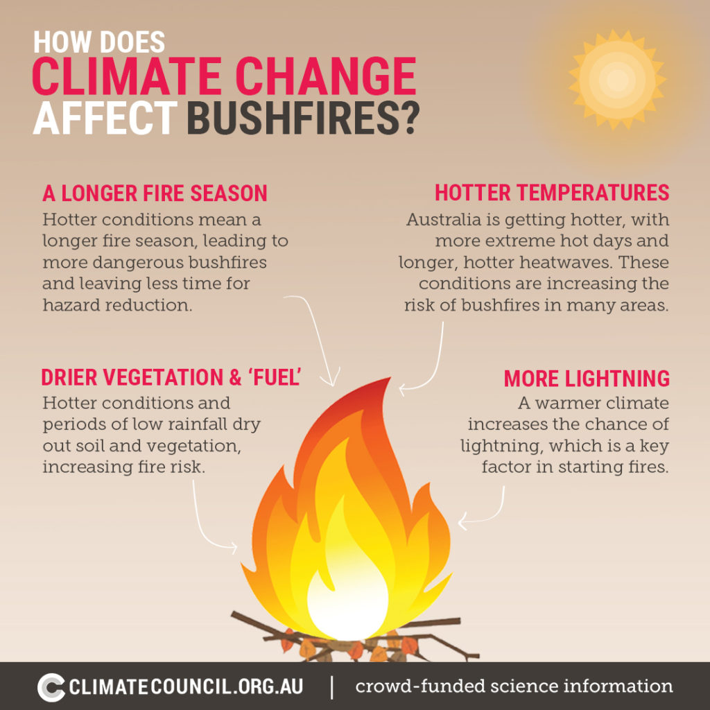 How does climate change affect bushfires? Infographic Climate Council