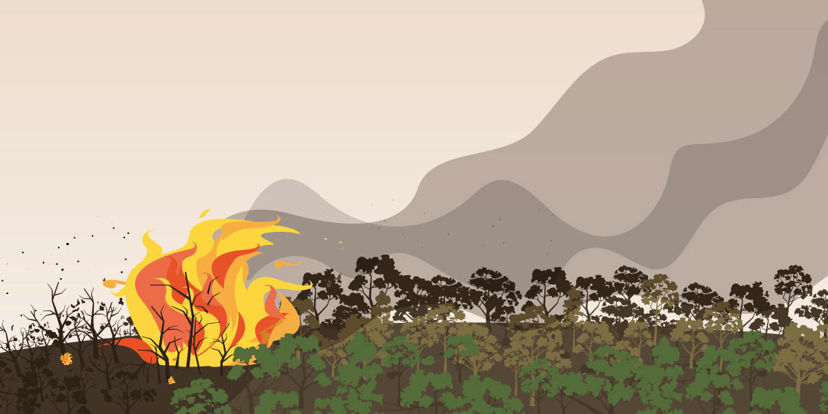 Illustration of bushfire and smoke