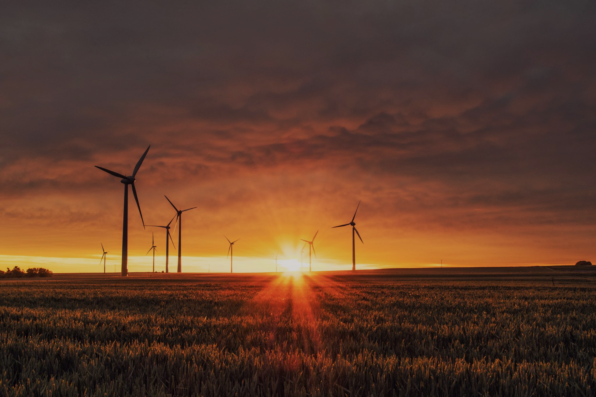 Windfarm at dawn