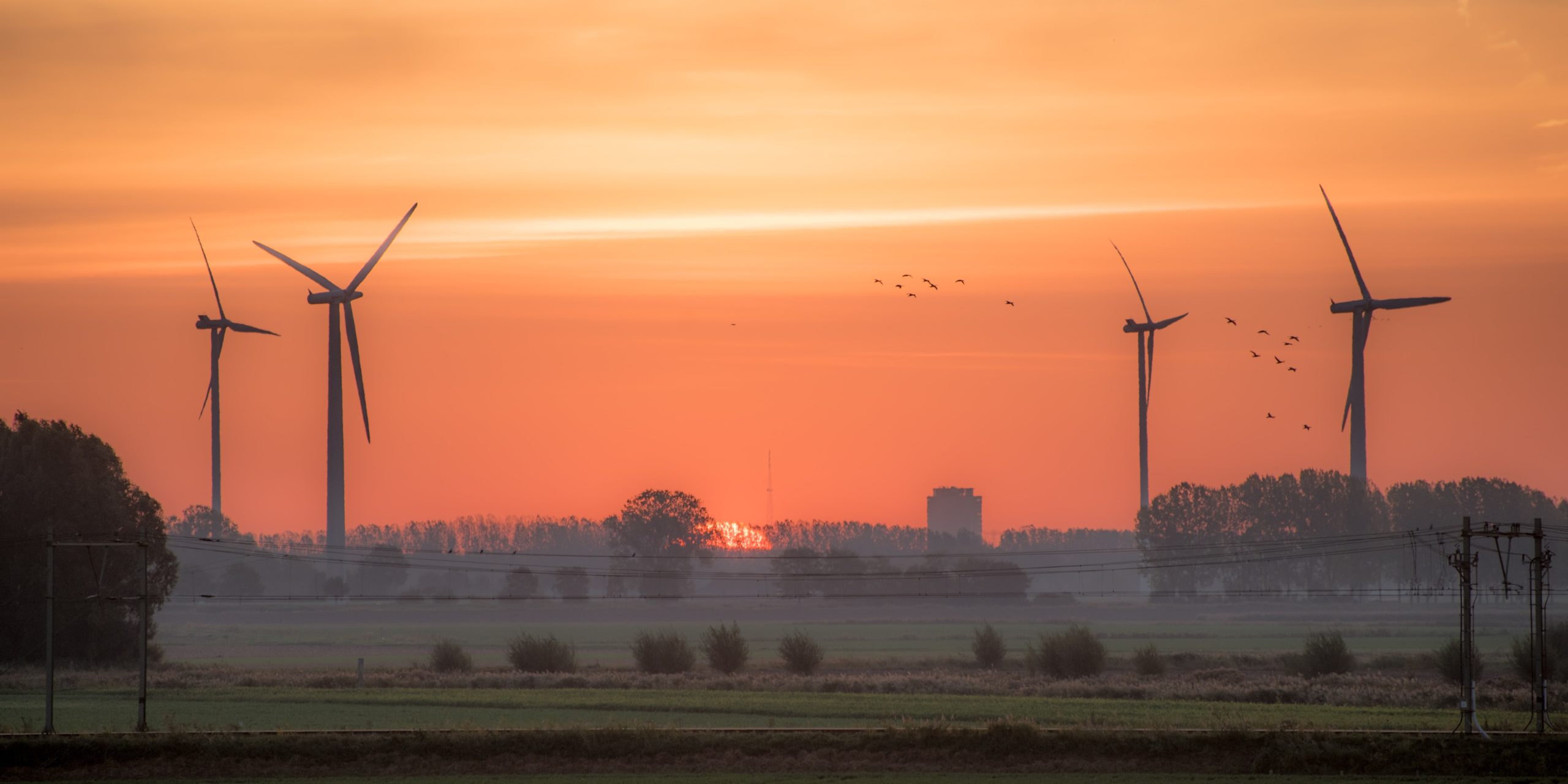 Photograph of wind turbines at sunset