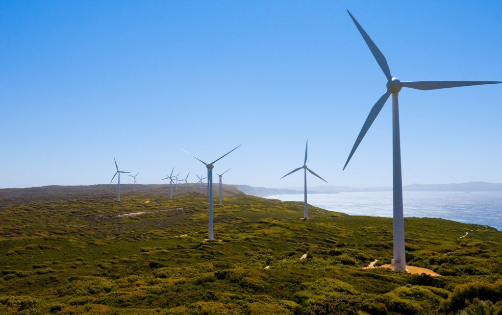 wind farm on the coast photo