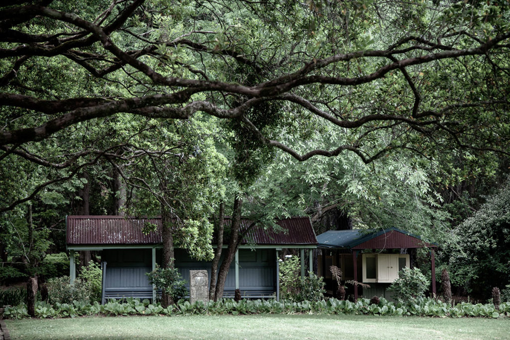 A house surrounded by green trees.