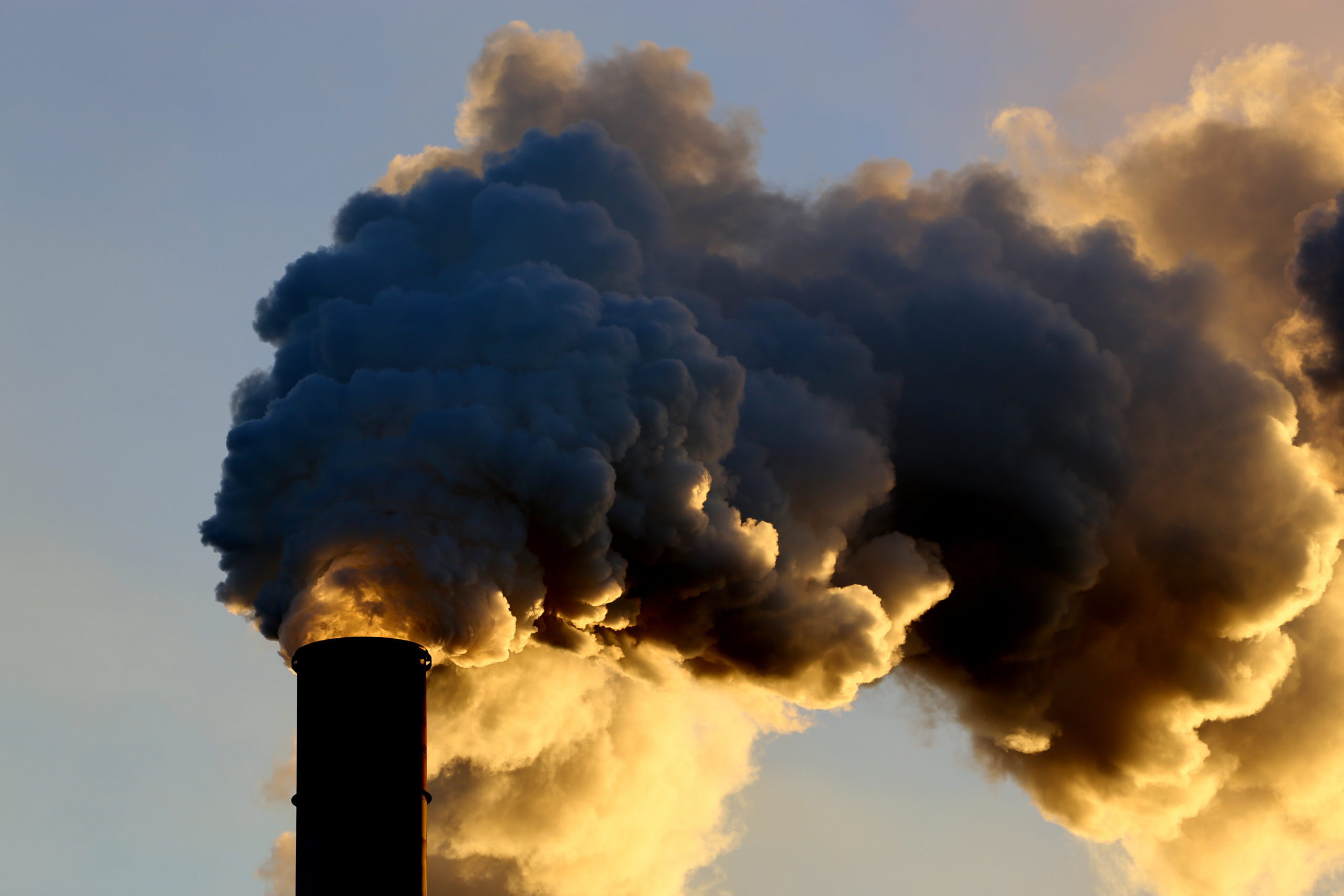 Fossil fuel greenwashing: Climate Council urges Australian Parliament ...