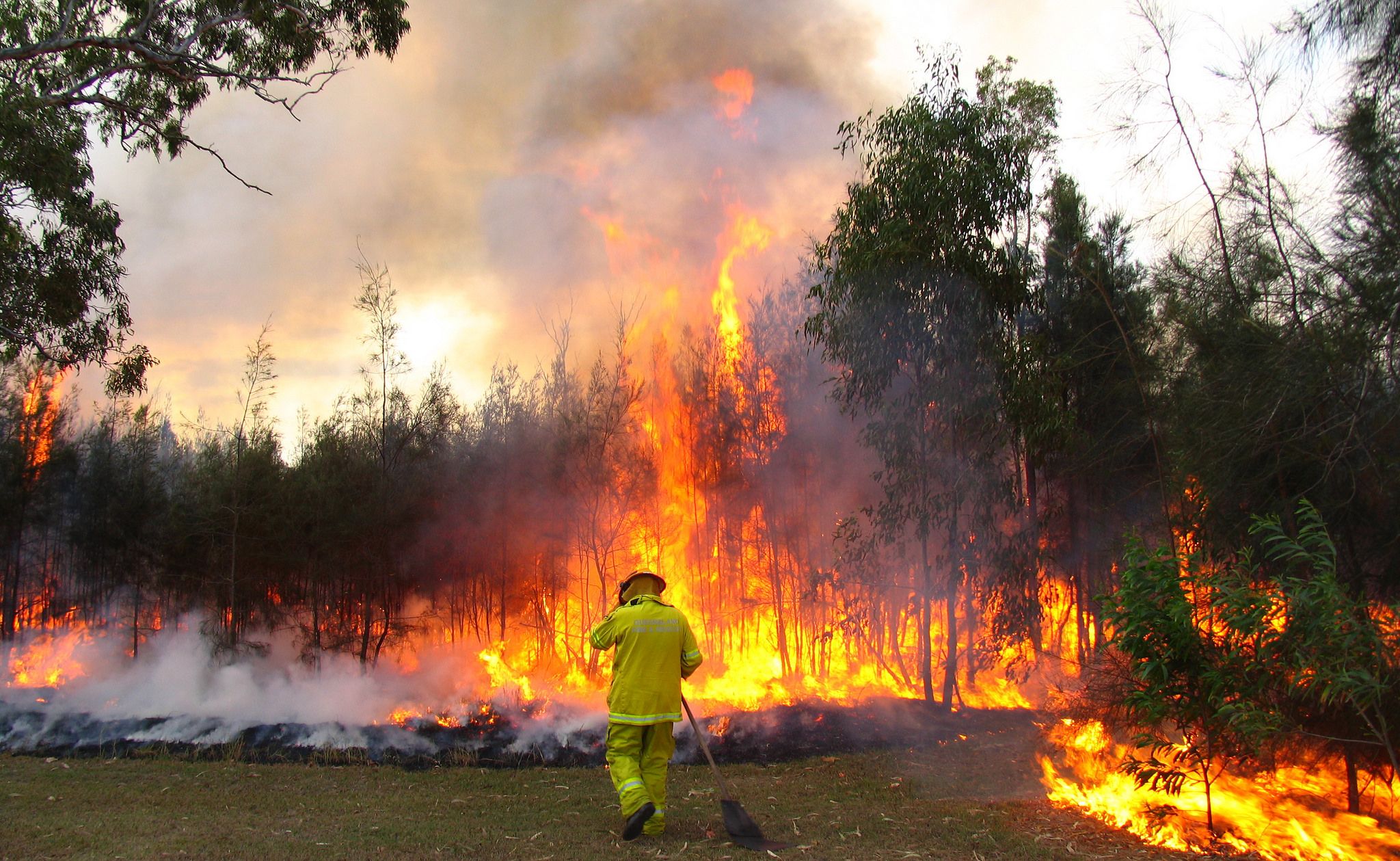 Lone firefighter standing in front of wall of flame