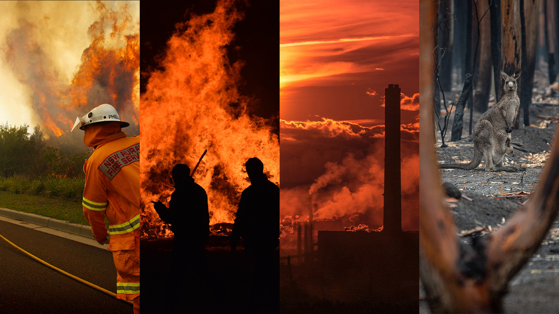 A picture with 4 images: Firefighters, a big bushfire flame, a smoke stack with orange sky, and a kangaroo in front of burnt trees.