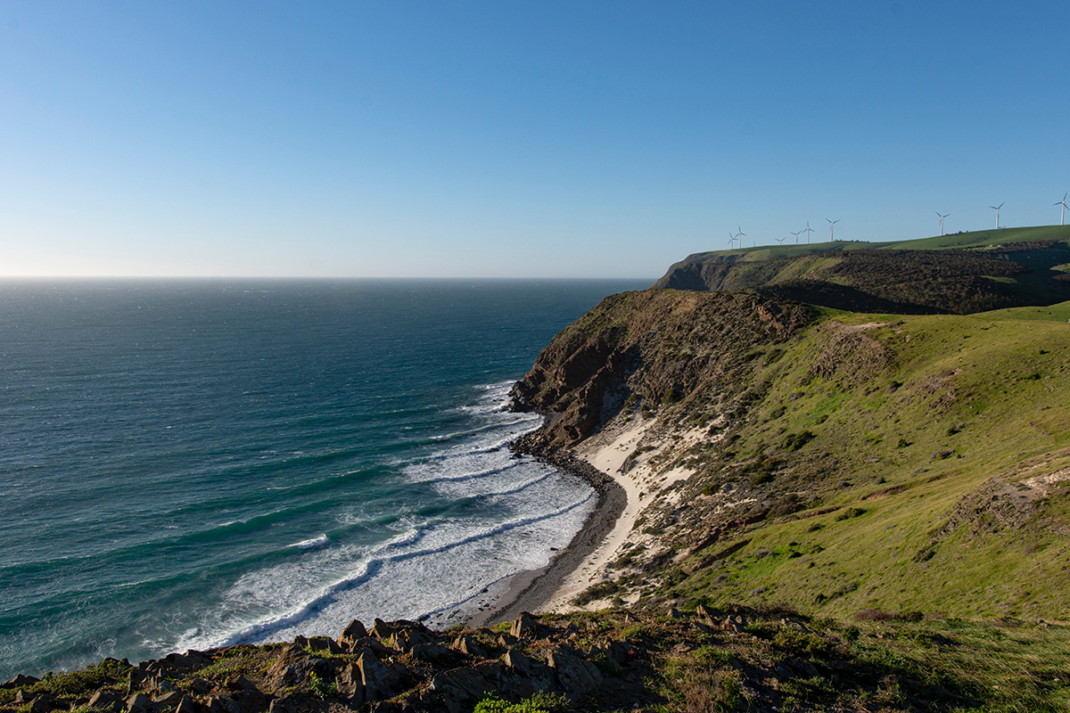 An image of the South Australian coast with some wind turbines in the distance