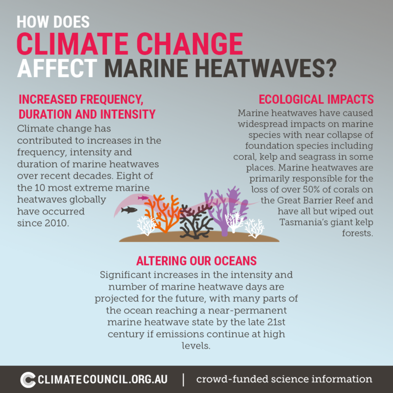 In hot water: Climate change, marine heatwaves and coral bleaching ...