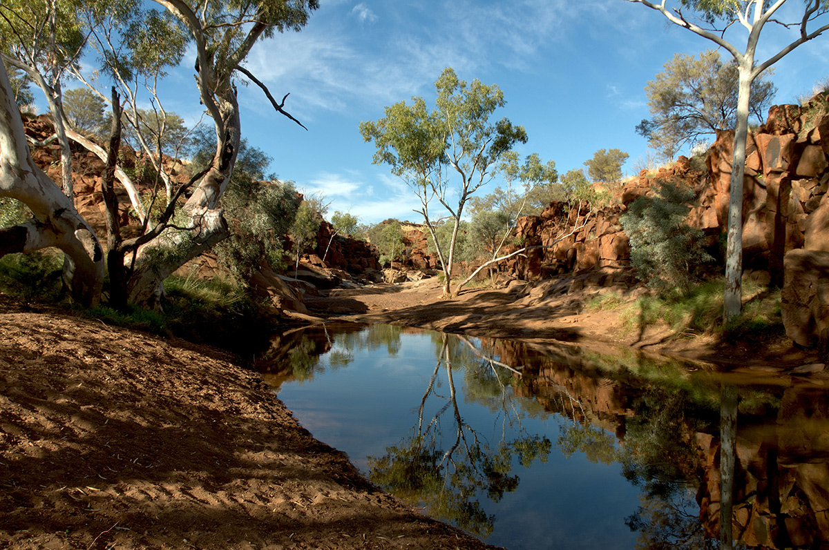 An image of the Australian outback, trees around a billabong of water.