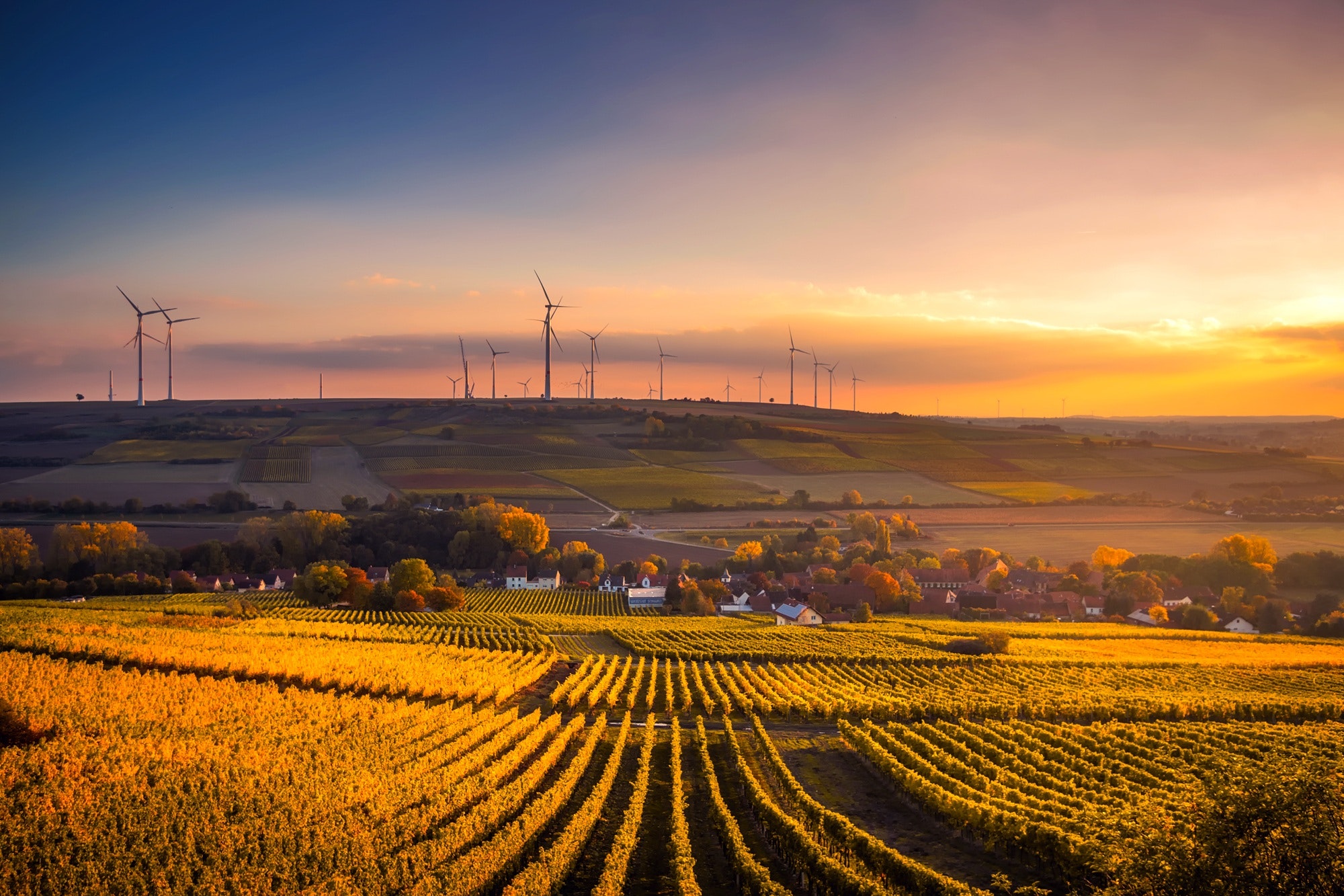 rolling hills and wind turbines