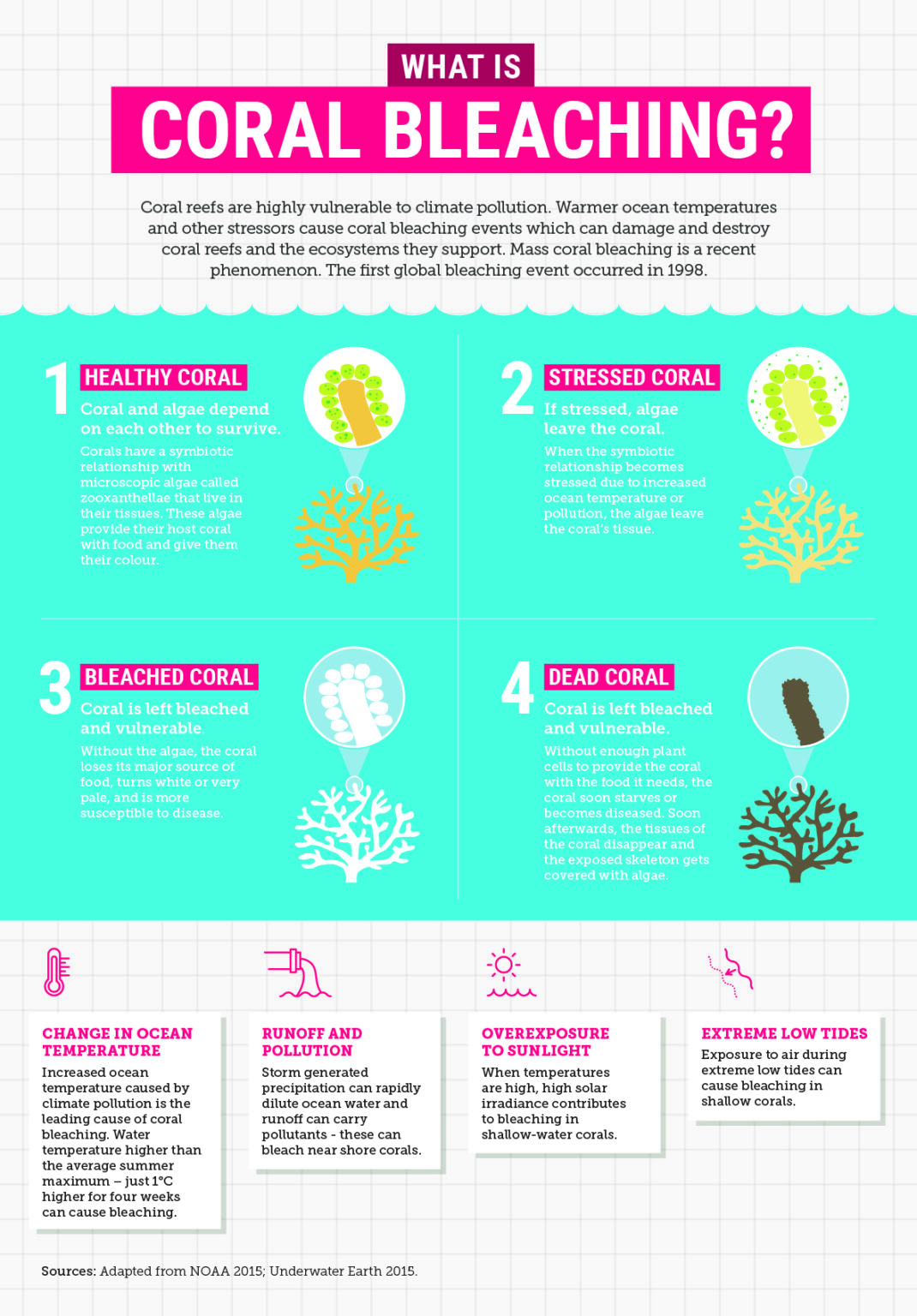 What is coral bleaching infographic | Climate Council